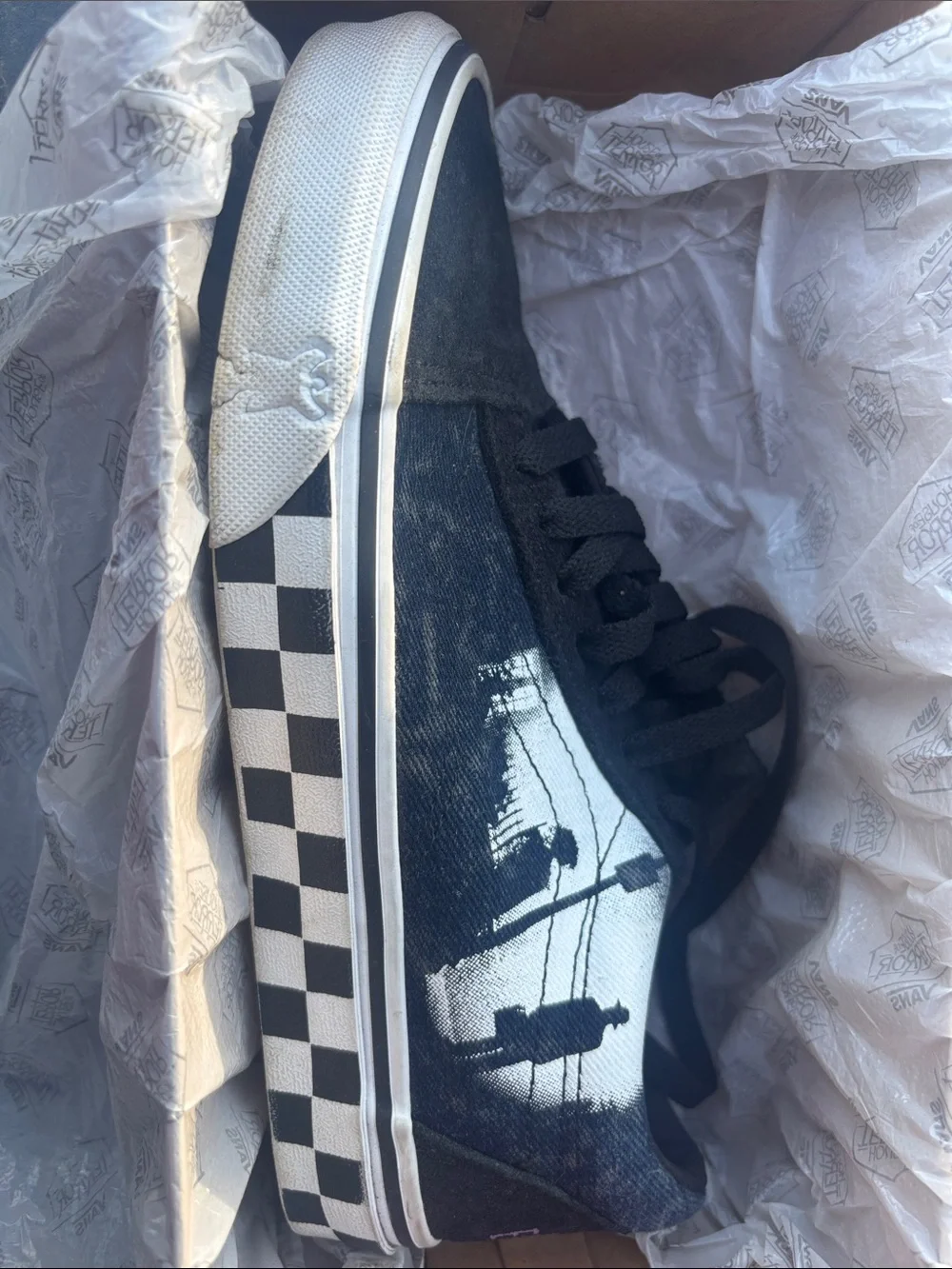 House of terror vans